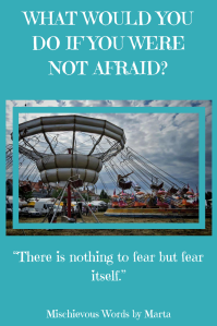 What would you do if you were not afraid_